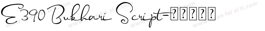 E390 Bukhari Script字体转换
